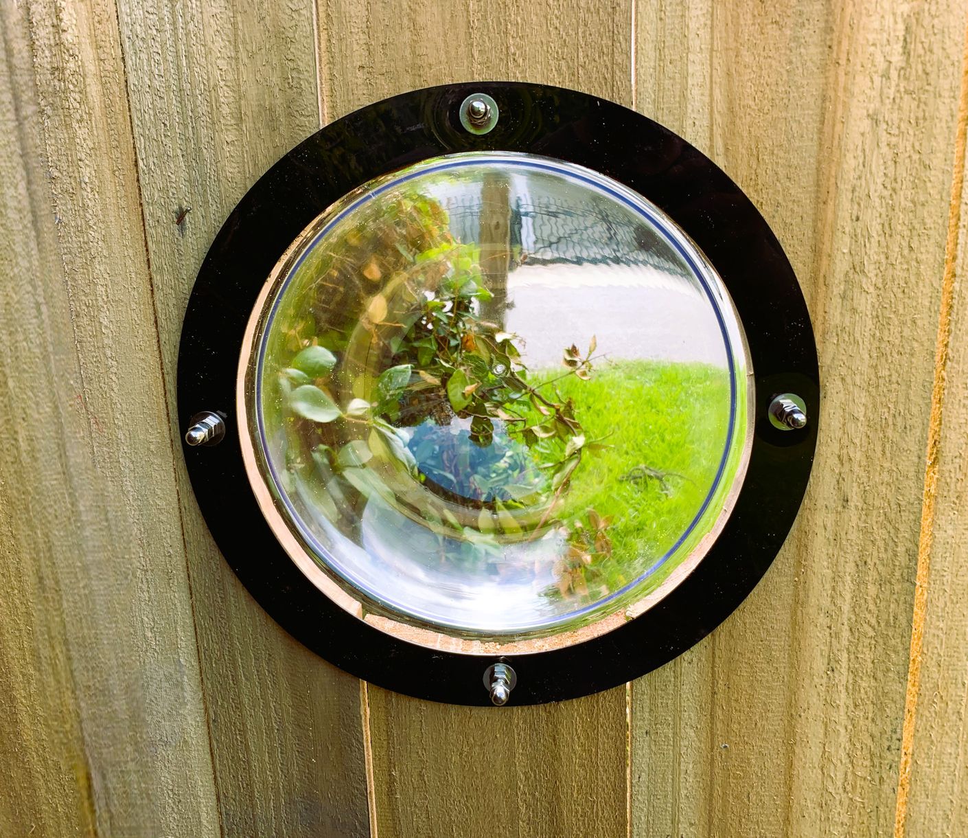 A clear acrylic porthole window built into a wood fence board so a dog can see through